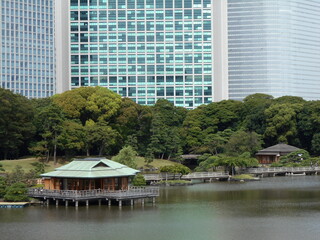 秋の日本庭園（東京）
