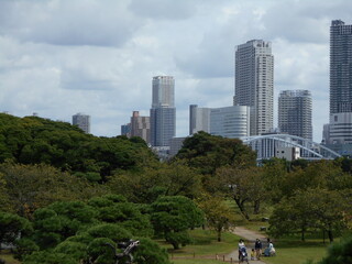 秋の日本庭園（東京）
