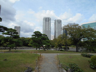 秋の日本庭園（東京）