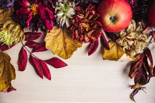 Colorful Autumn Flatlay. Wilted Flowers (chrysanthemum, Golden-daisy), Dried Read And Yellow Leaves And Red Apples On The Light Wooden Background. Seasonal Fall Concept. Top View, Copy Space.