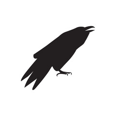 Halloween black vector illustration with big raven or crow isolated on white background.
