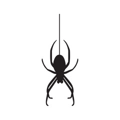 Halloween black vector illustration with a spider hangs on a web isolated on white background.