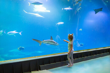 Little girl watch the underwater life from the aquarium tunnel