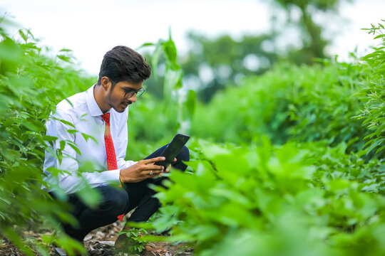 Technology and people concept, Young indian agronomist with tablet at field
