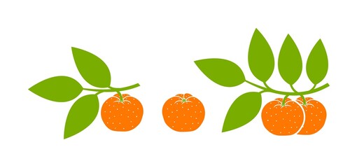 Mandarin logo. Isolated mandarin on white background
