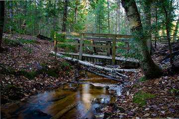 Footbridge over stream in the forest of Tahquamenon Falls State Park in Michigan.