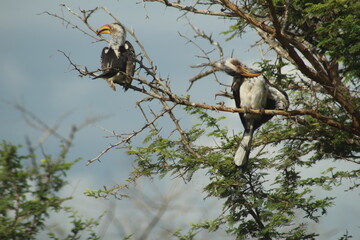 Photo taken in Kruger National Park