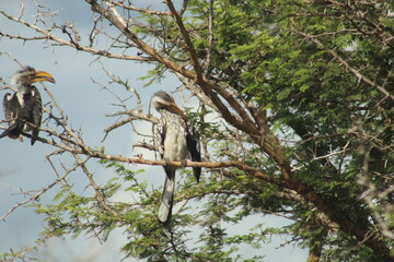 Photo taken in Kruger National Park