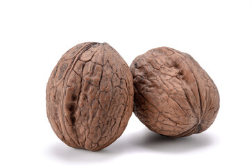 walnut on white background