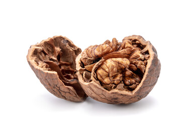walnut