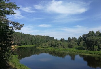 Fototapeta na wymiar river and forest