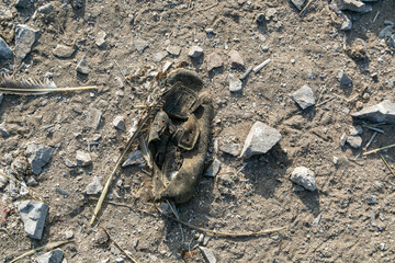 Shoe destroyed by the passage of time and abandoned on a rocky terrain and land