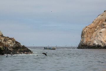 Fototapeta na wymiar Gate in stone islets in the Pacific Ocean, in front of Lima. Sea lions in the sea and fishing boat.