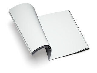 Blank book