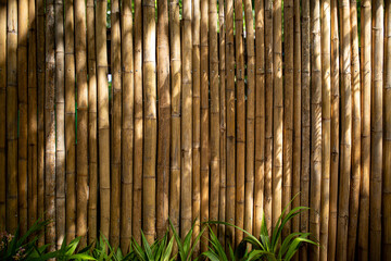 Bamboo stack or pipe bamboo trunk texture background