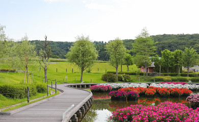 Fototapeta premium 国営越後丘陵公園 越の池