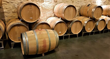 wine barrels in cellar