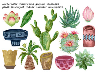 watercolor illustration graphic elements plant flower pot indoor outdoor cactus succulents hand paint on white