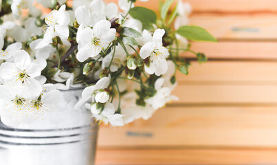 white spring blossom flowers in a metal bucket on the wooden background.