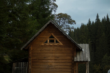 Fototapeta na wymiar Wooden houses against the background of a dense coniferous forest