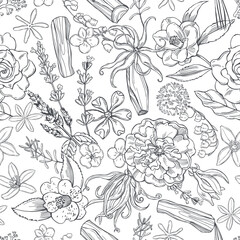 Plants and flowers for perfumery.Vector floral pattern.