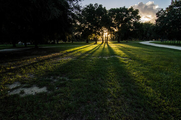 sunset in the park