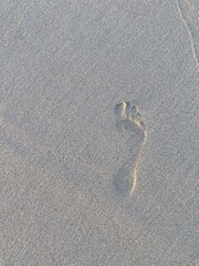 Footprints in the sand on a beach in Fuerteventura, Spain	