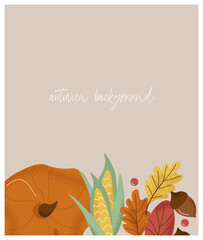 Autumn vector flat background with pumpkin, berries, corn, acorns and leaves. Autumn season. Elements for decorating the autumn holidays. Abstract background with place for text for banners, posters