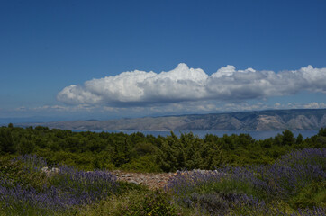Landscape in Hvar Croatia with lavender fields, greenery, sea, hills and clouds