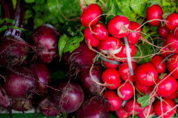 Beets and radishes Farmers market in Sao Jose dos Campos Sao Paulo Brazil
