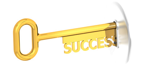 Success key plug into key hole