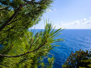 Adriatic coast in Petrovac Montenegro - Budva Rivera