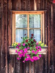 Obraz na płótnie Canvas old window with flowers