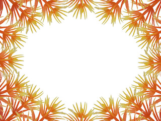 Fototapeta na wymiar red-yellow gradient flower on white background arrange in oval shape with free copy space.