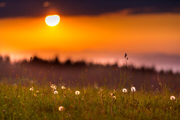 Magura Spiska - Karpaty © BARONPHOTOGRAPHY.EU