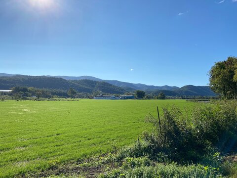 Sod Farm - Montgomery County, VA