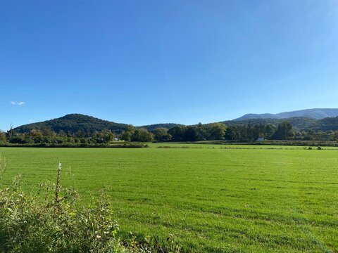 Sod Farm - Montgomery County, VA