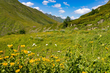 Landscape with mountains, valley, forest, meadows high on the top