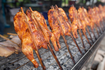 Chicken Grilled in a traditional style, Local foods of Thailand This name is 