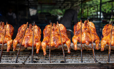 Chicken Grilled in a traditional style, Local foods of Thailand This name is 