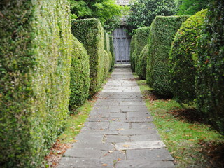 path in the garden