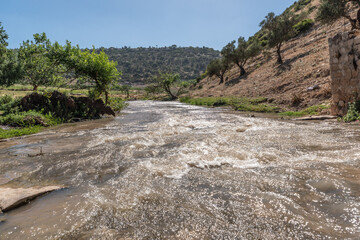 Fototapeta na wymiar Tzipori River which is a tributary of the Kishon River in Israel