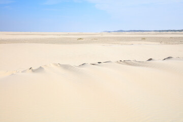 Sanddünen im Nationalpark, UNESCO-Weltnaturerbe Wattenmeer, Borkum, Ostfriesische Insel, Niedersachsen, Deutschland, Europa