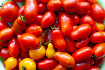 Many wet tomato background. Juicy ripe tomatoes with splashing water on the kitchen table. Harvest vegetables. Selective soft focus. Healthy organic food.