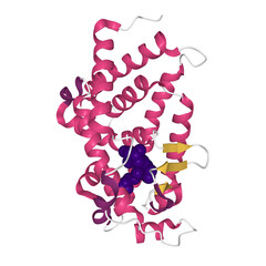 Crystal structure of VDR ligand-binding domain complexed to calcipotriol (blue), 3D ball-and-stick model, white background