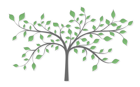 Drawing of a tree with green leaves on a white background