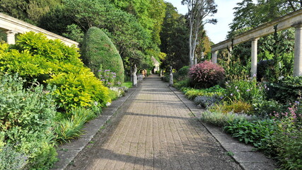 walkway in the garden
