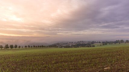 Nebliger Morgen in Thüringen