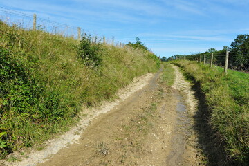 Fototapeta na wymiar dirt track through countryside