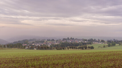 Fototapeta na wymiar Nebliger Morgen in Thüringen